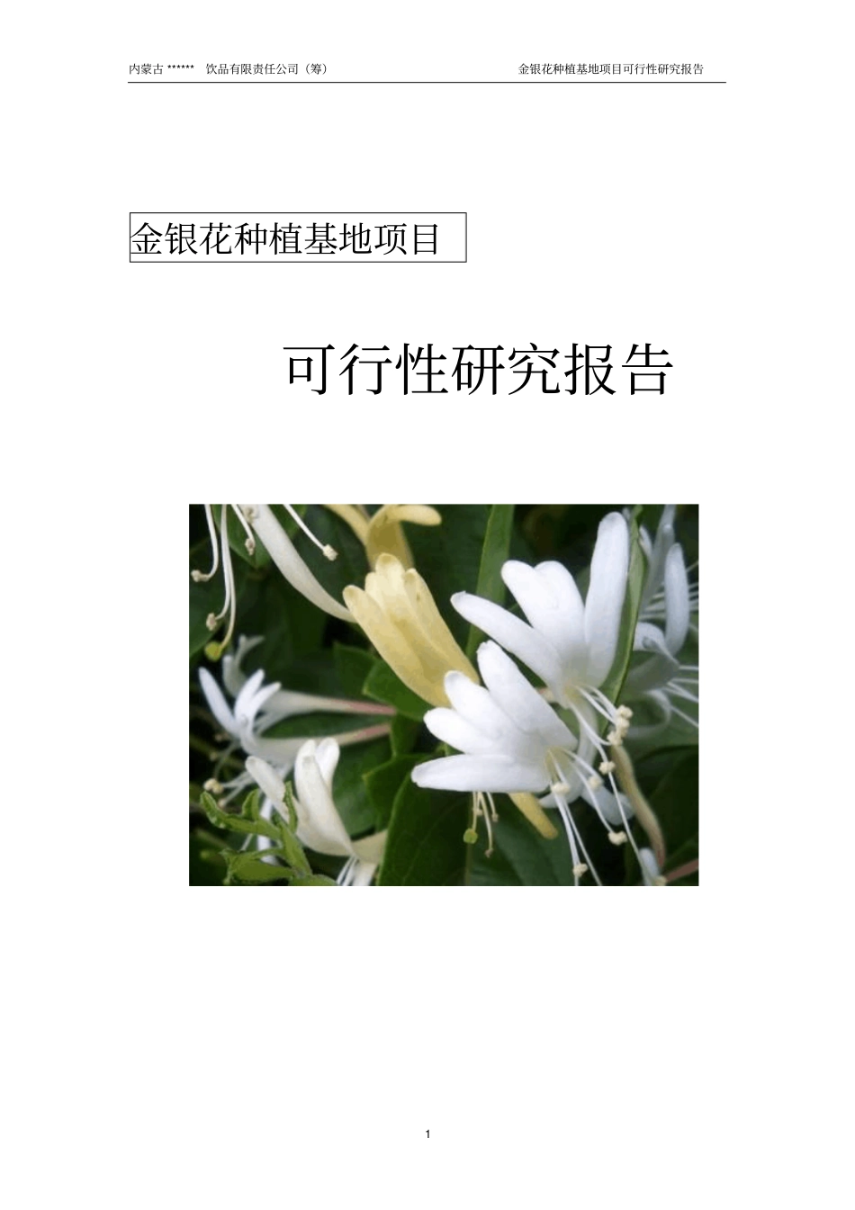 金银花种植与产业化可行性研究报告_第1页