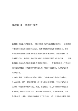 金鞍项目一期推广报告