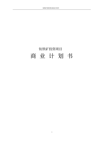 钛铁矿投资项目商业计划书