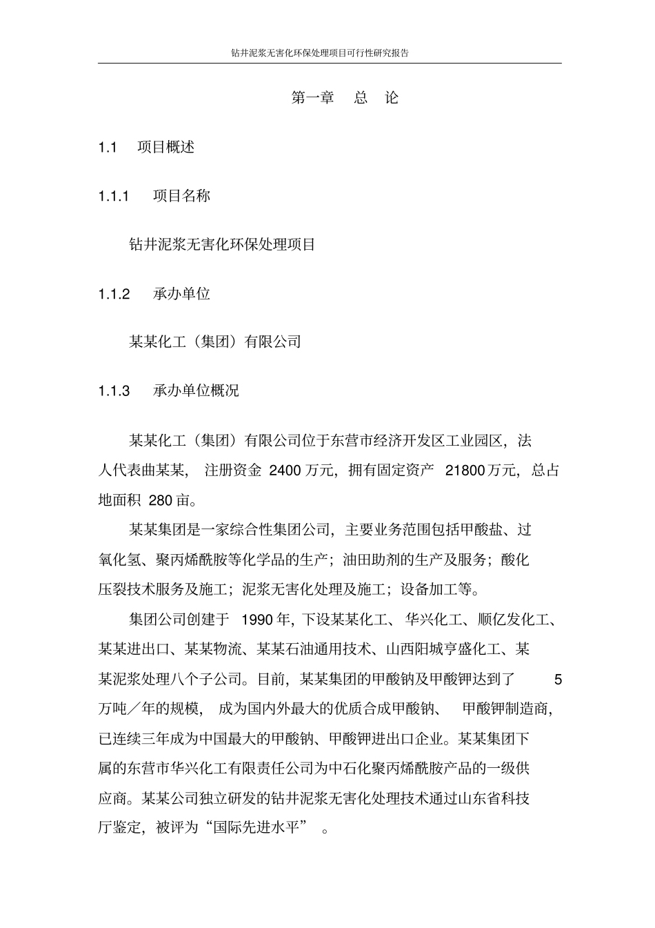 钻井泥浆无害化环保处理项目可行性研究报告_第2页