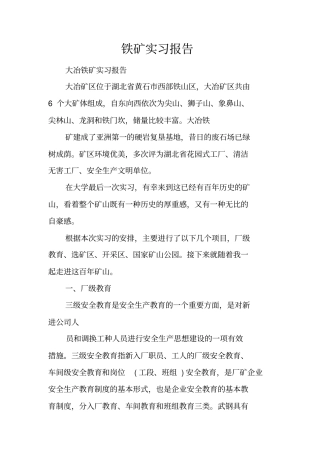 铁矿实习报告