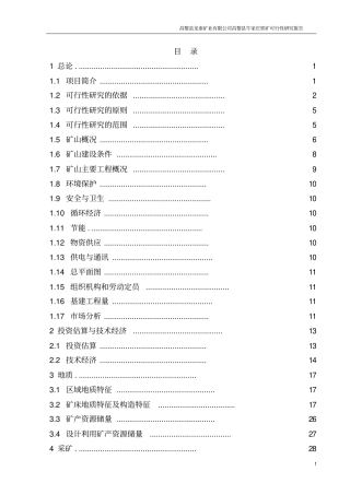 铁矿项目可行性研究报告