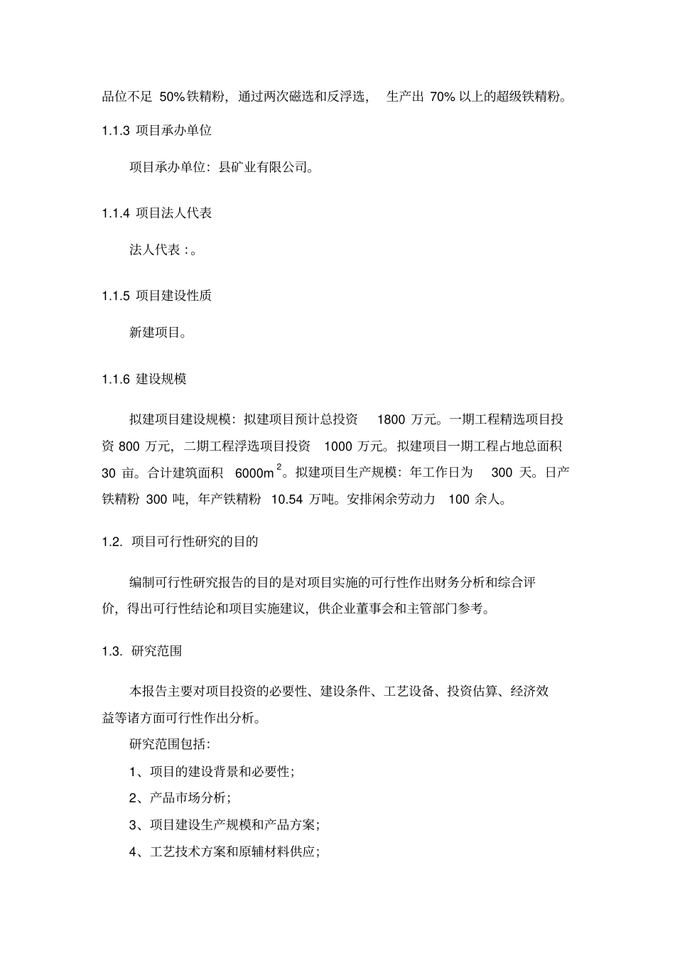 铁精粉精选项目可行性研究报告_第2页