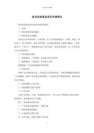 技术改造资金项目申请报告
