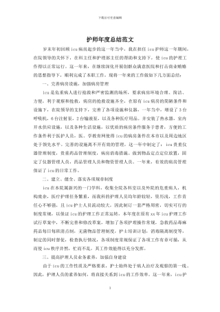护师年度总结范文