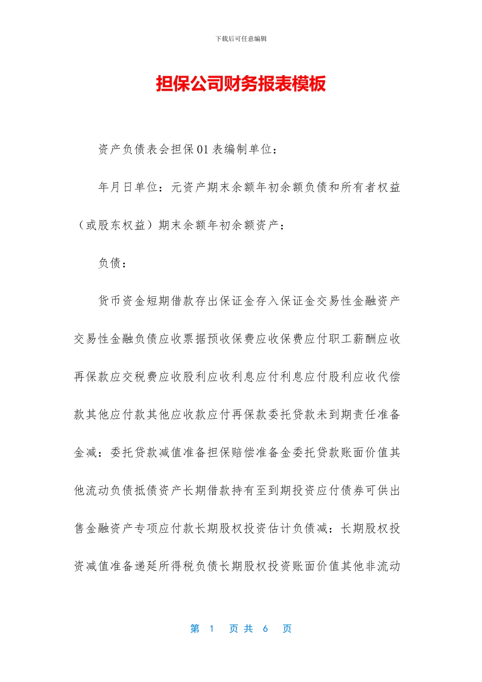 担保公司财务报表模板_第1页