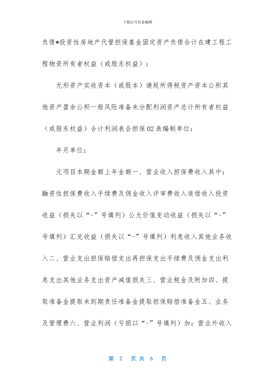 担保公司财务报表模板_第2页