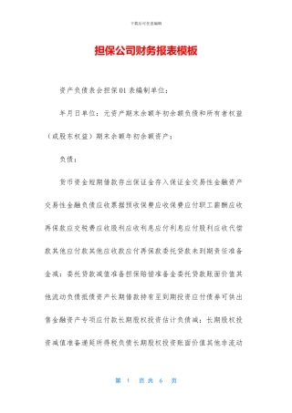 担保公司财务报表模板