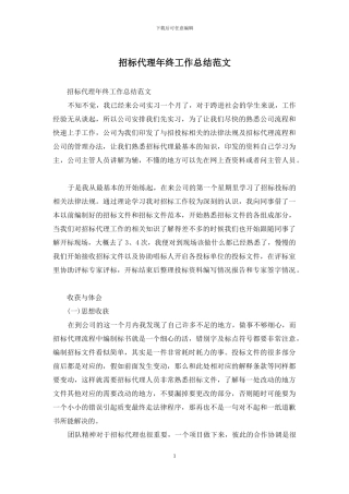 招标代理年终工作总结范文