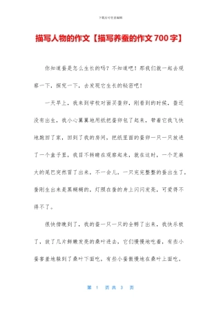 描写人物的作文