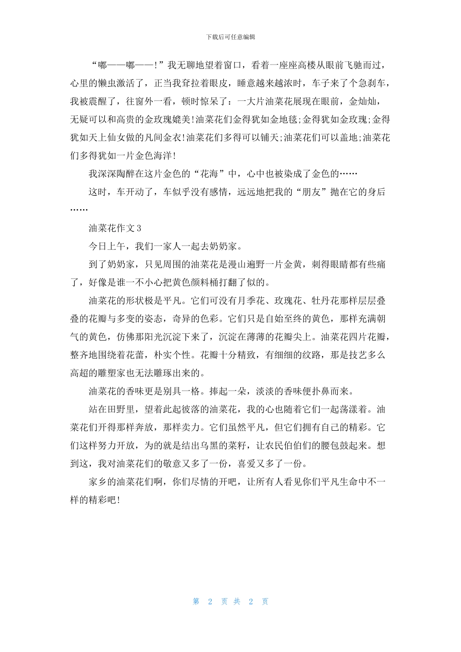 描写关于油菜花的作文3篇_第2页