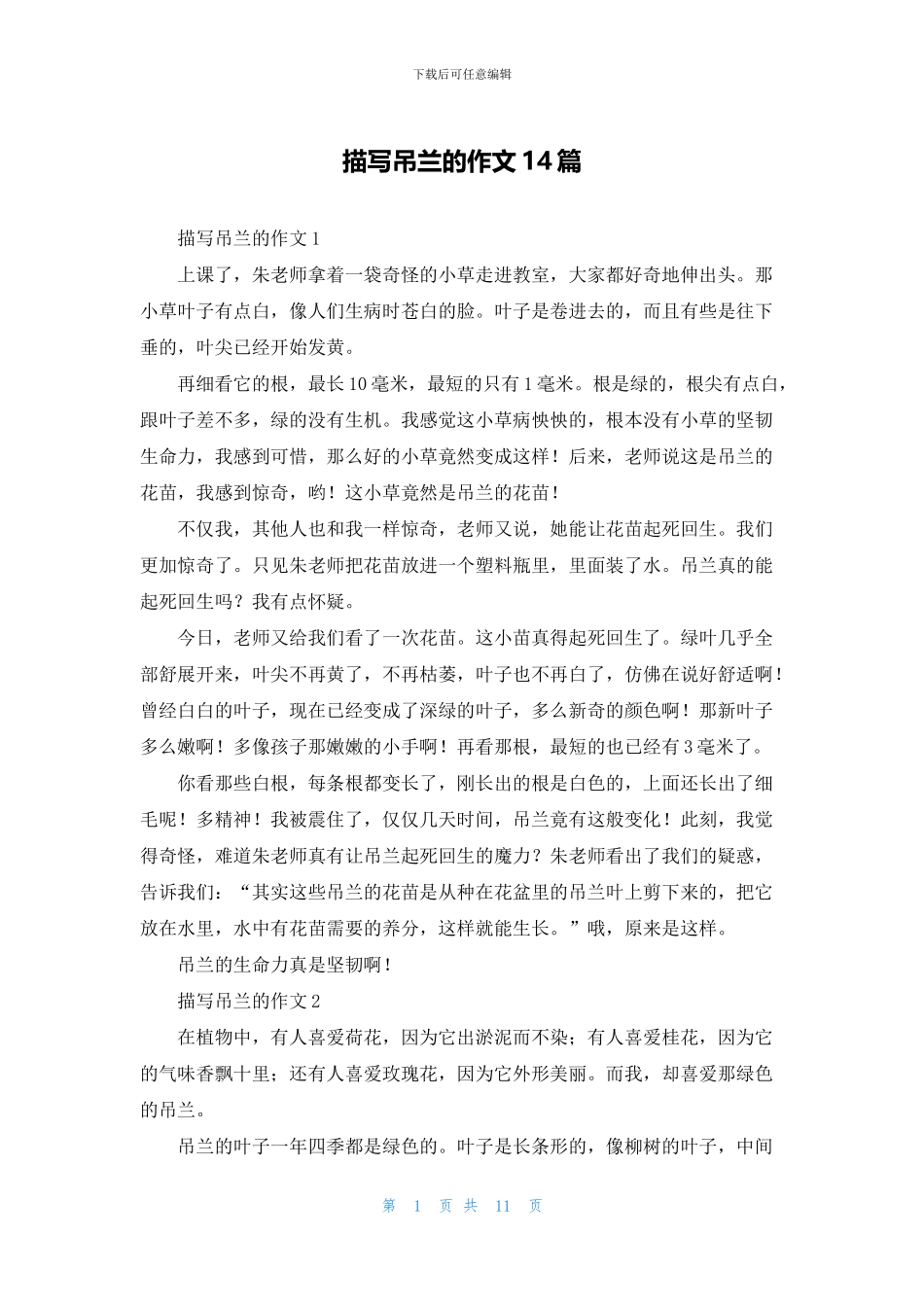 描写吊兰的作文14篇_第1页