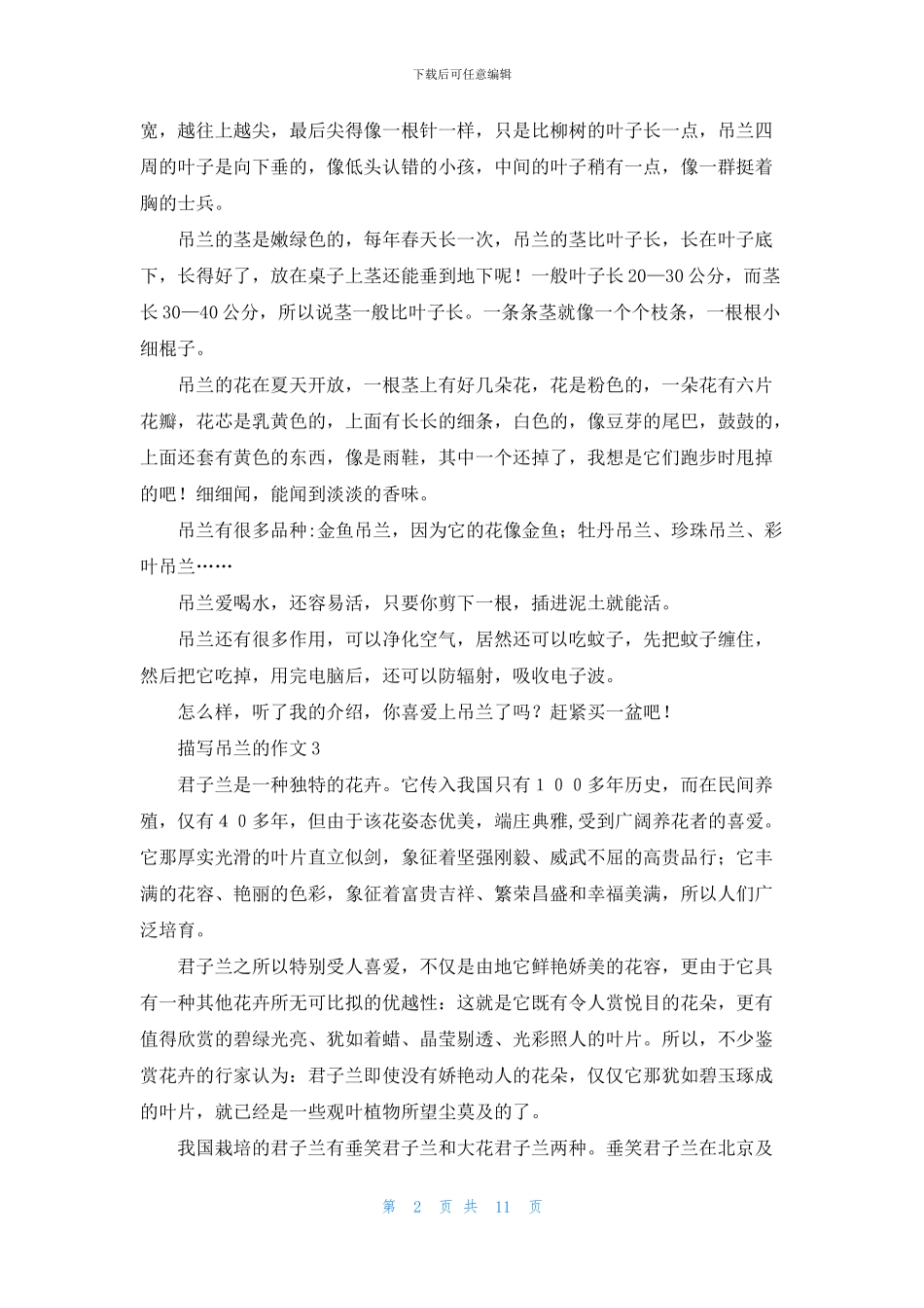 描写吊兰的作文14篇_第2页