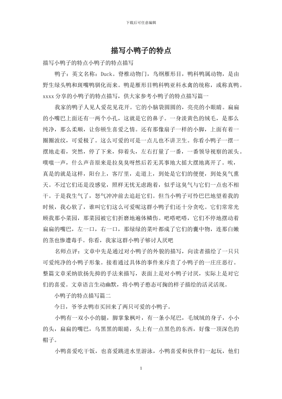 描写小鸭子的特点_第1页