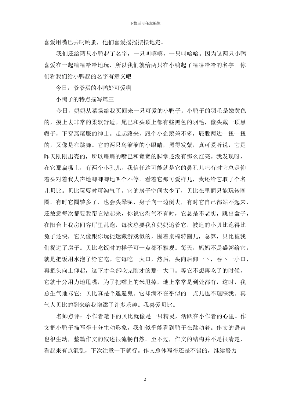 描写小鸭子的特点_第2页