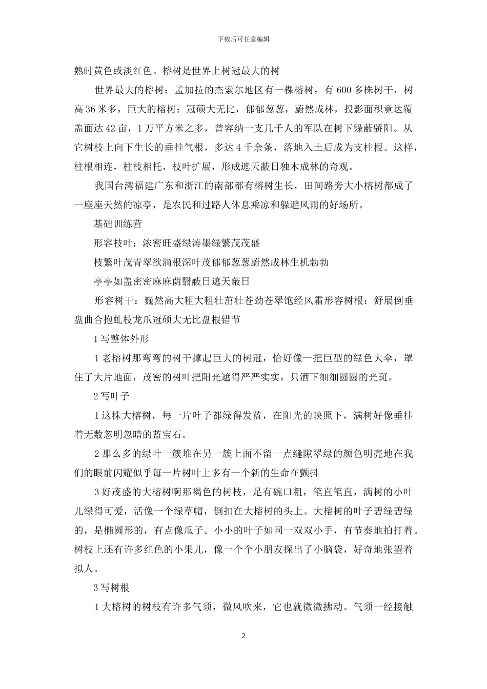 描写大榕树好段_第2页