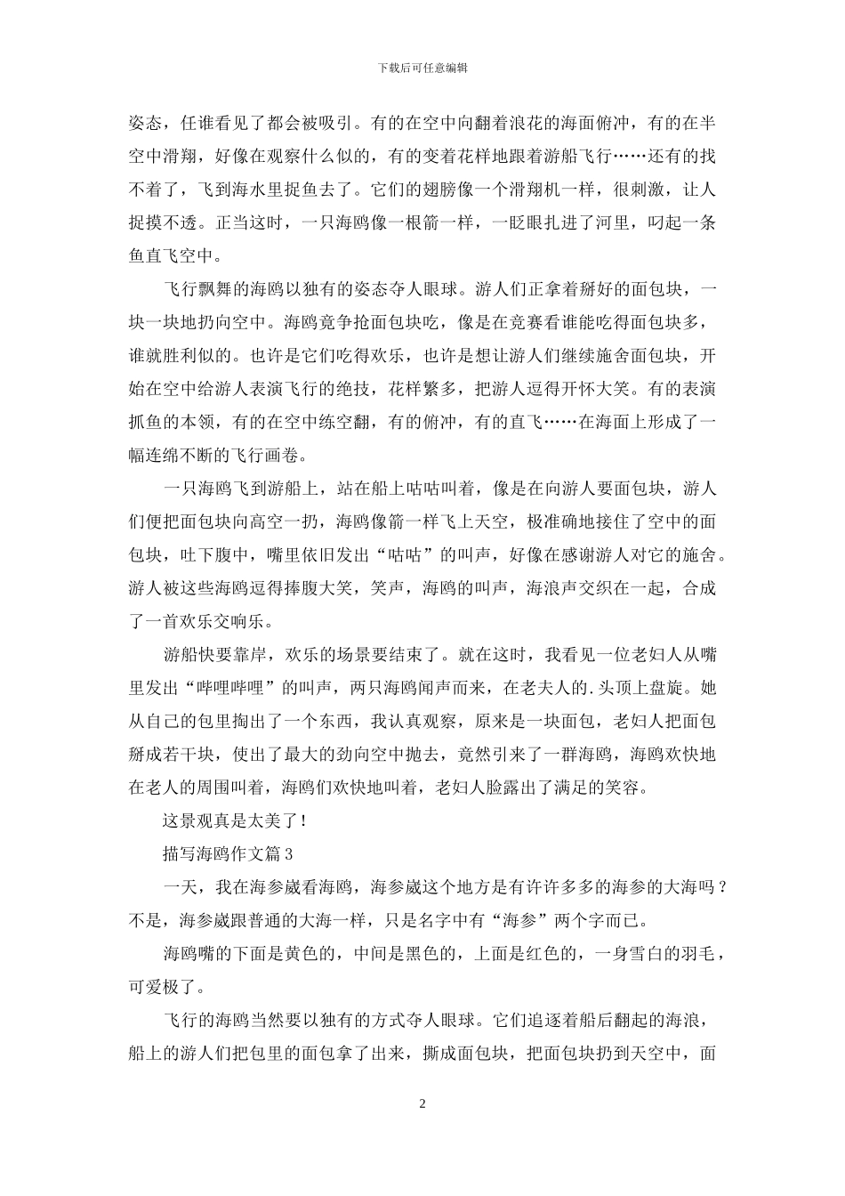 描写海鸥作文3篇_第2页