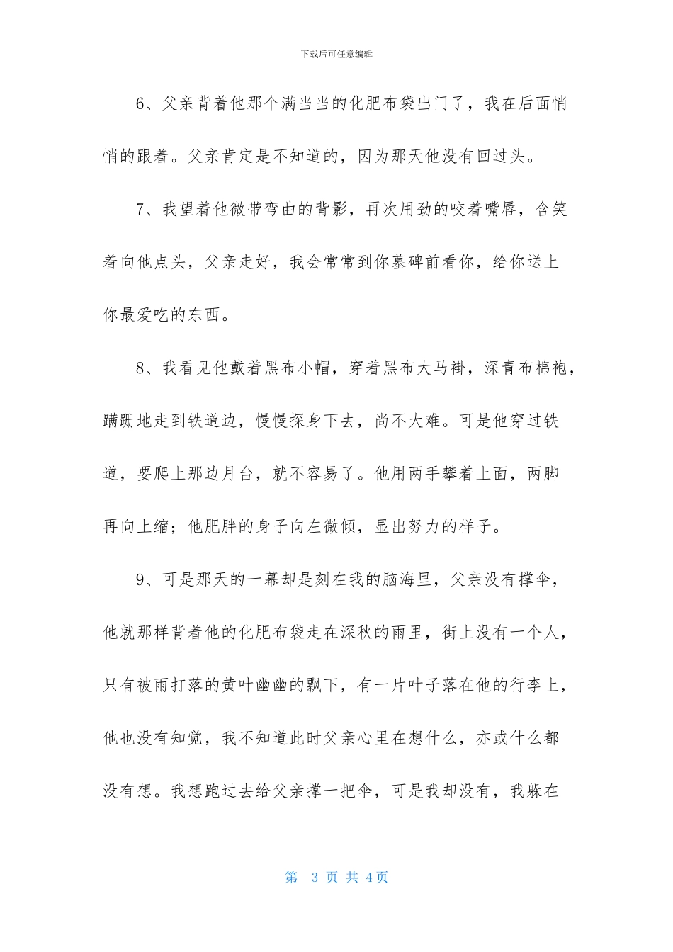 描写父亲背影的优美段落_第3页