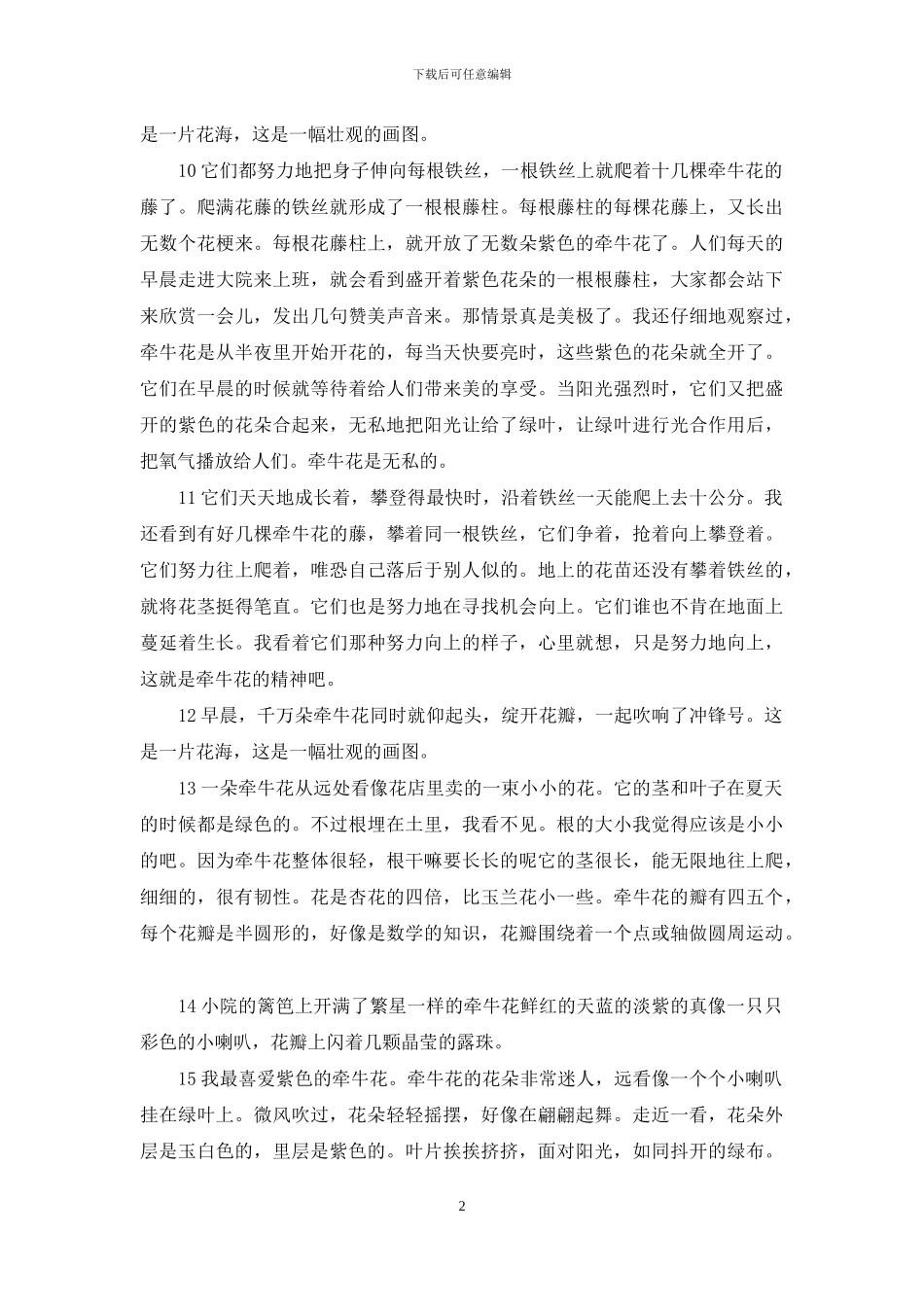 描写牵牛花的句子_第2页