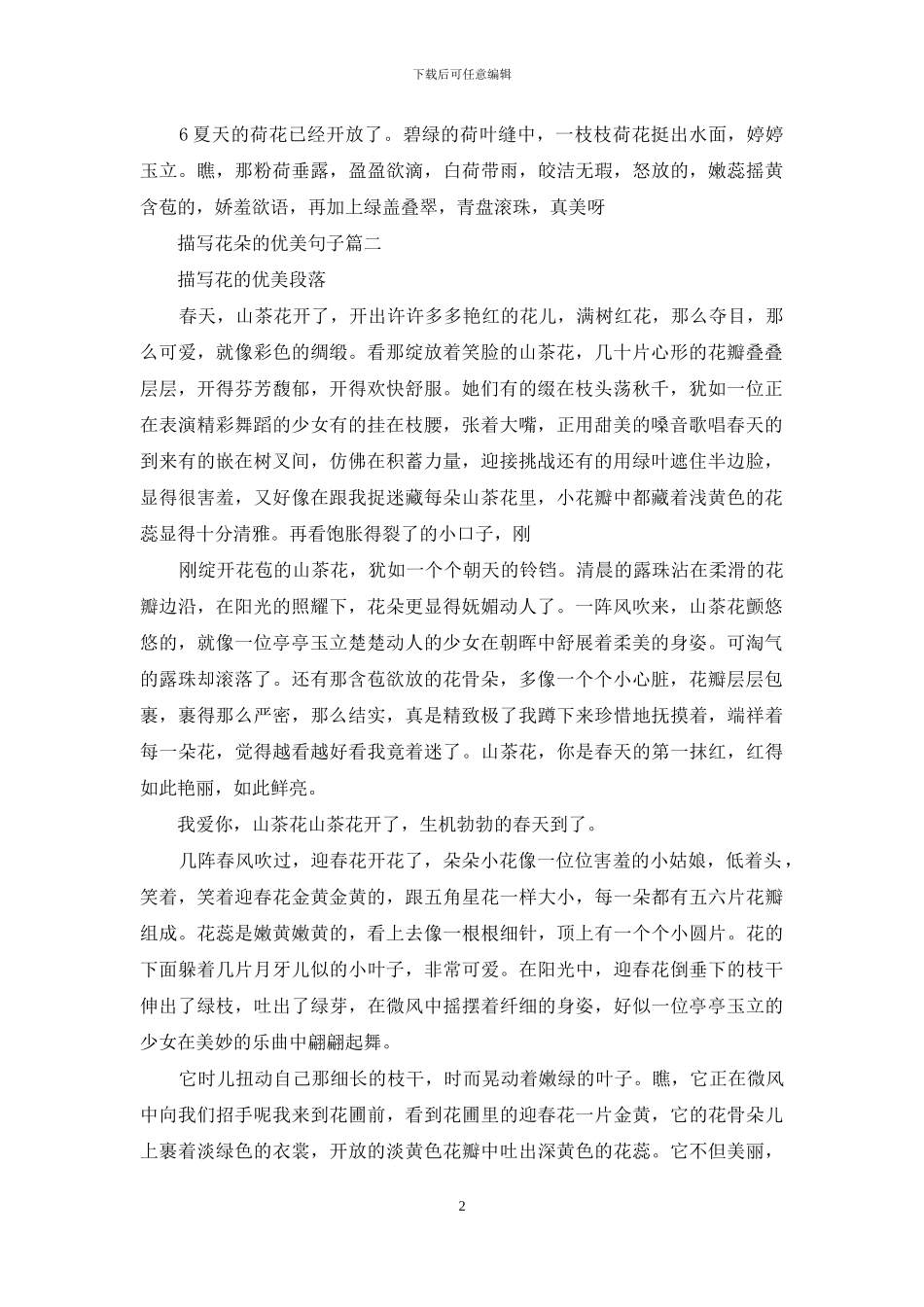 描写花朵的优美句子_第2页