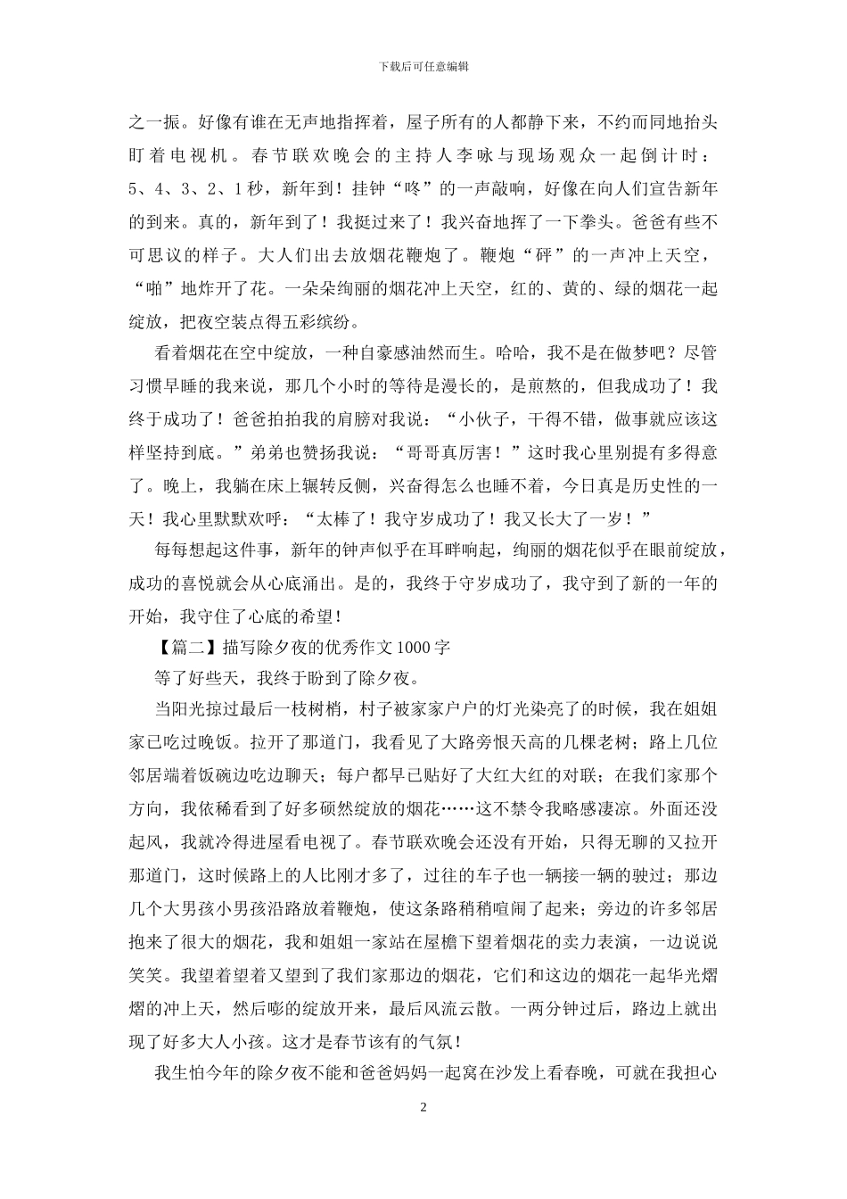 描写除夕夜的优秀作文1000字_第2页