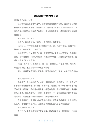 描写风信子的作文4篇