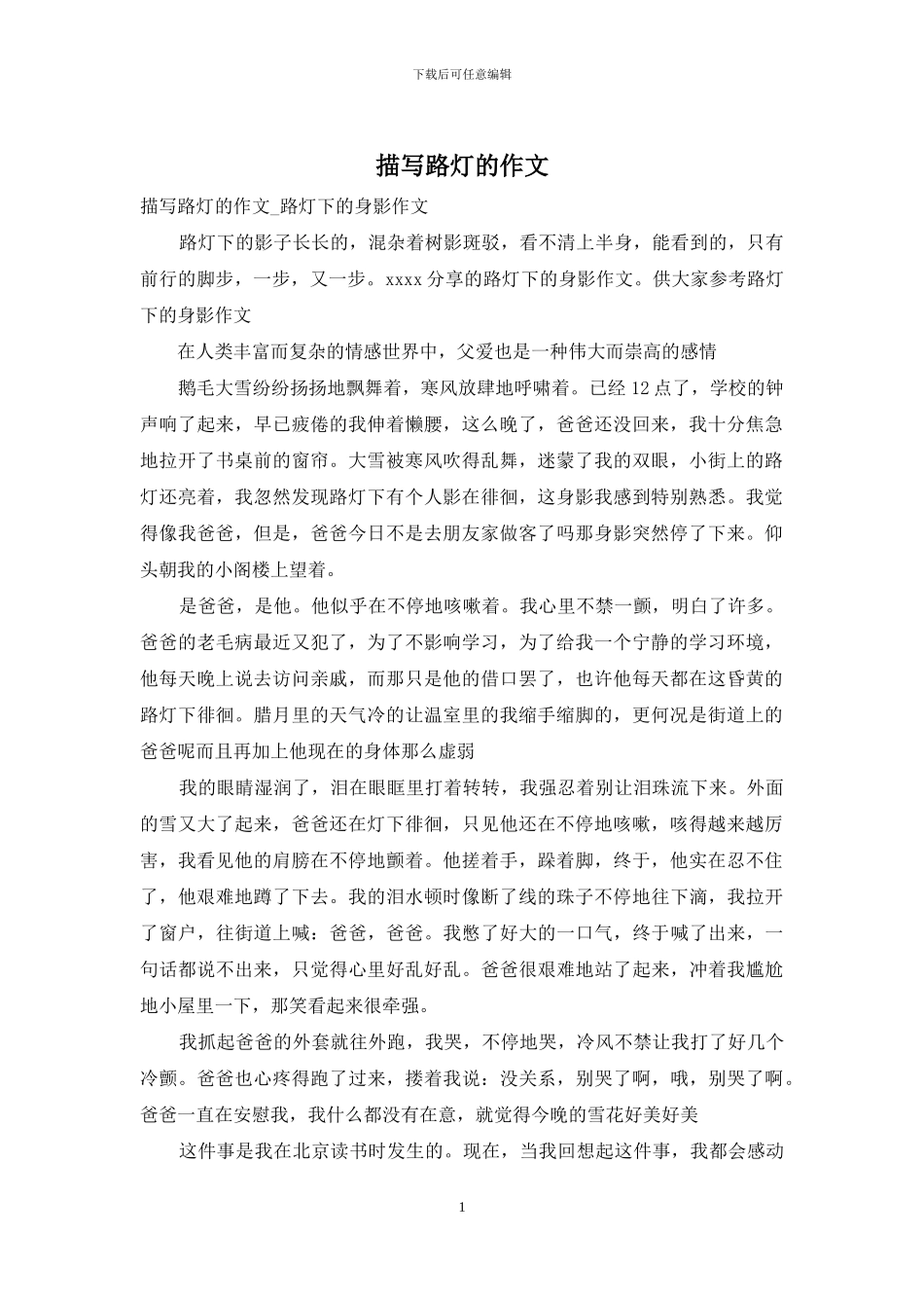 描写路灯的作文_第1页