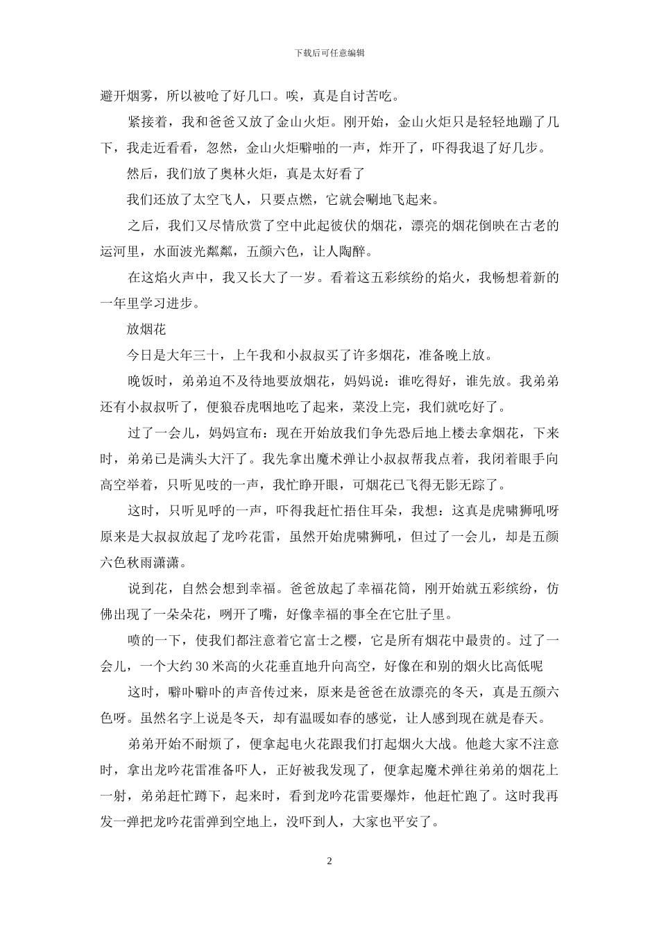 放烟花作文大全_第2页