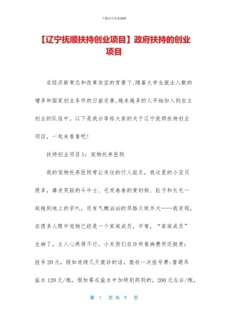 政府扶持的创业项目