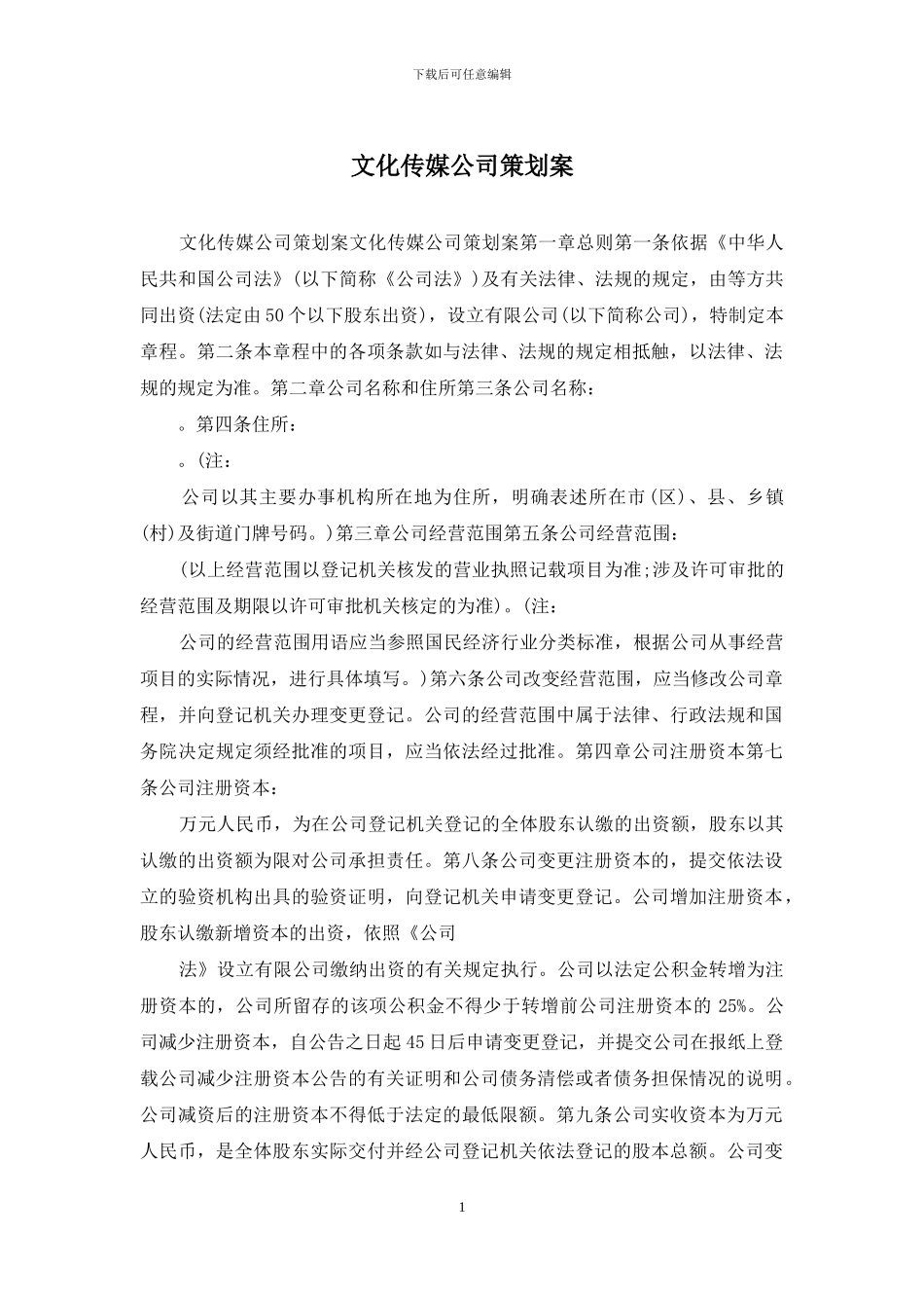 文化传媒公司策划案_第1页