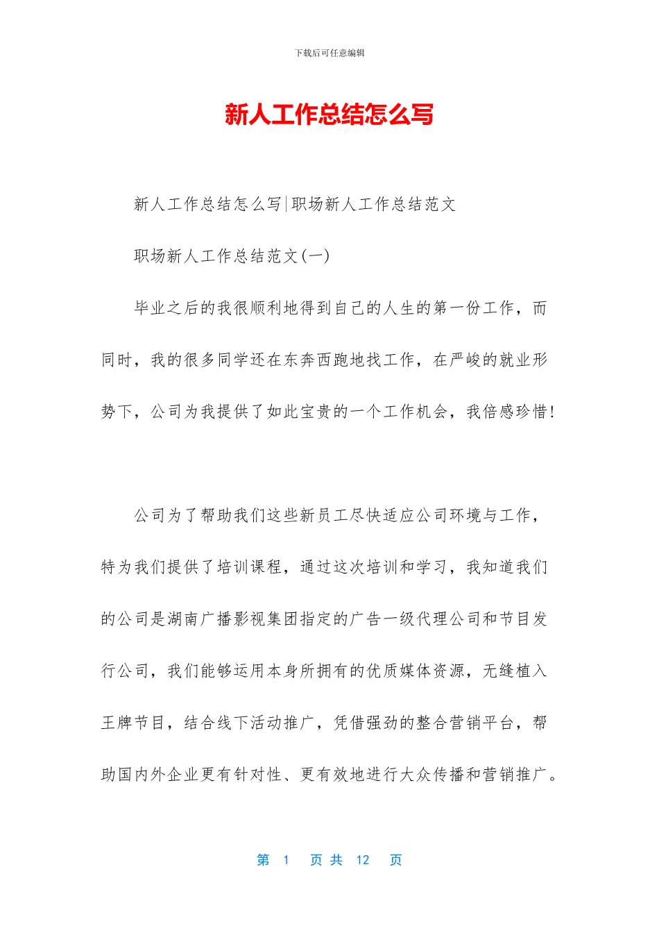 新人工作总结怎么写_第1页