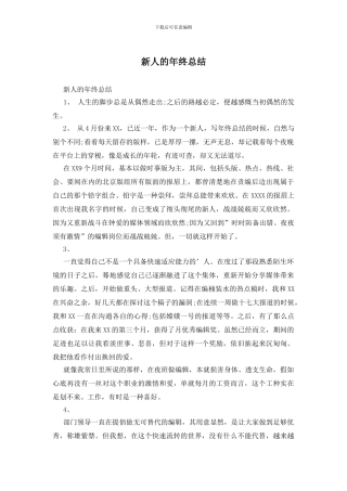 新人的年终总结