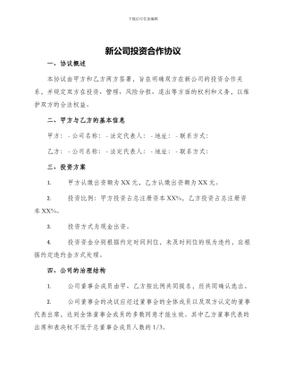 新公司投资合作协议