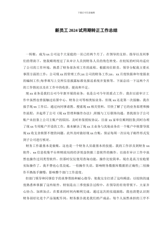 新员工2024试用期转正工作总结