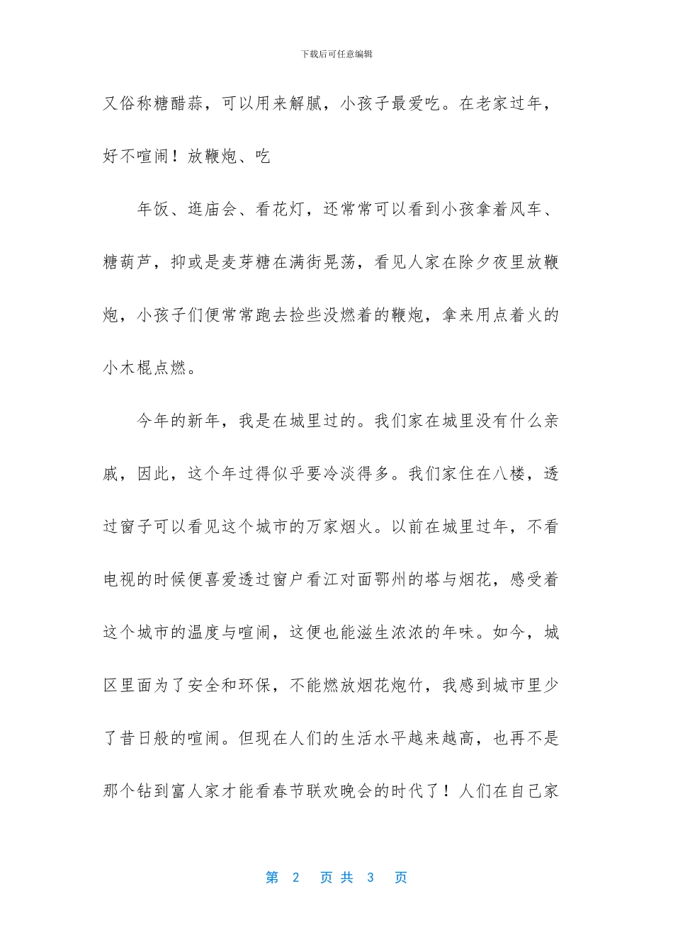 新年印象作文700字_第2页