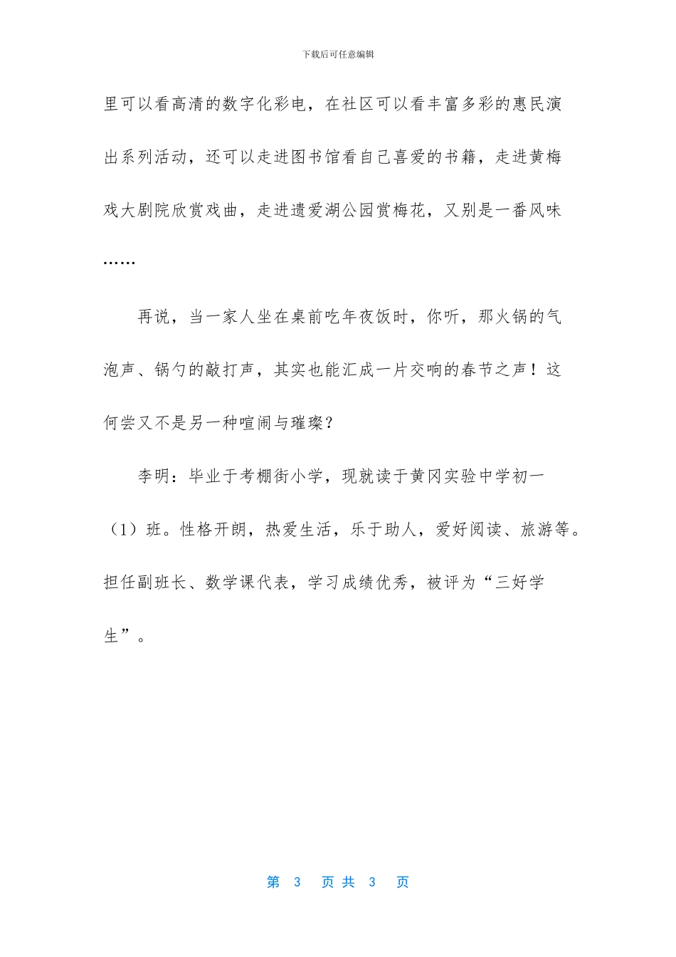 新年印象作文700字_第3页