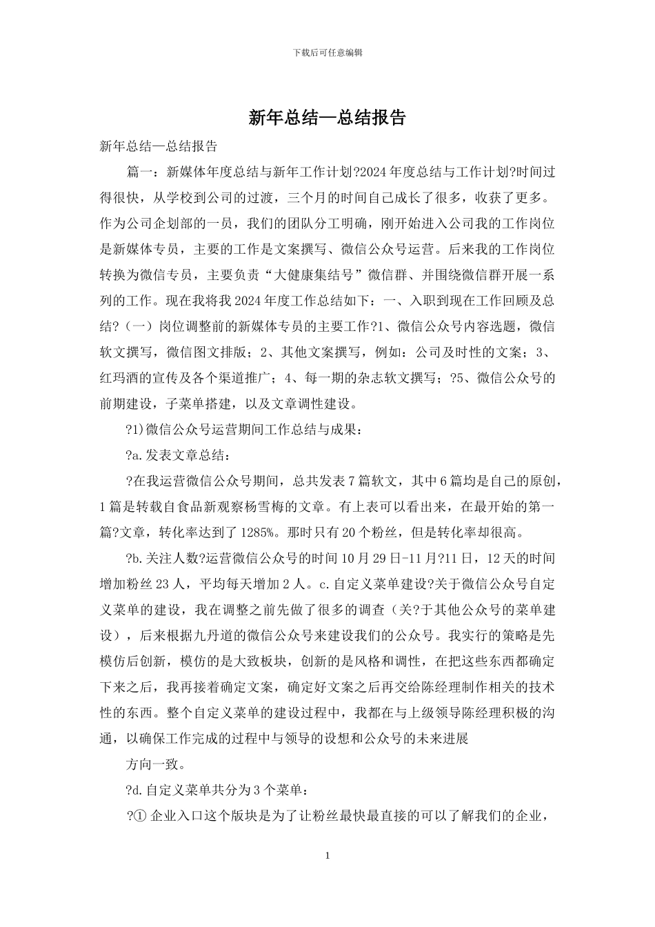 新年总结—总结报告_第1页