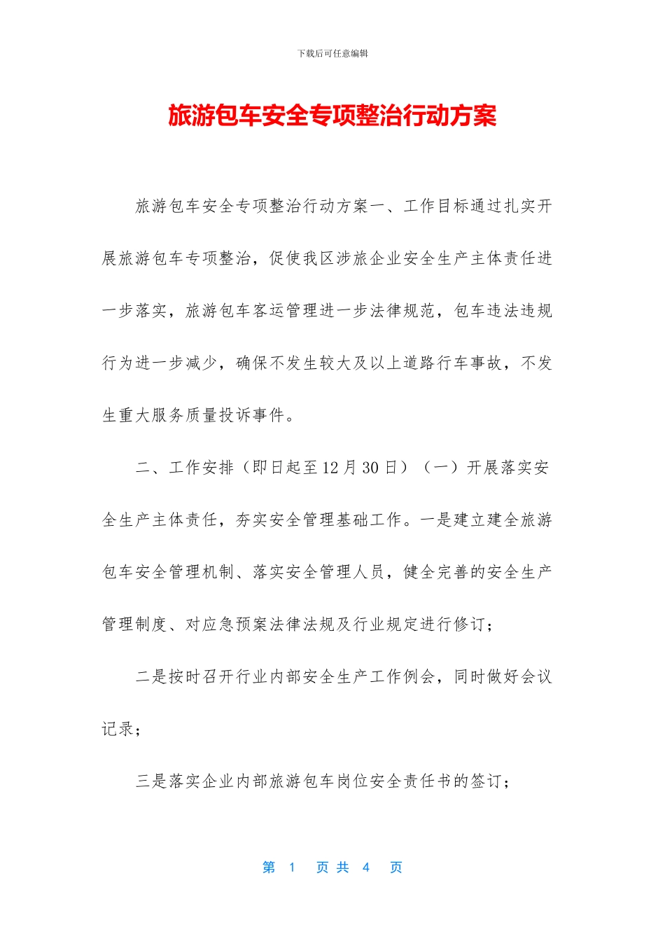 旅游包车安全专项整治行动方案_第1页