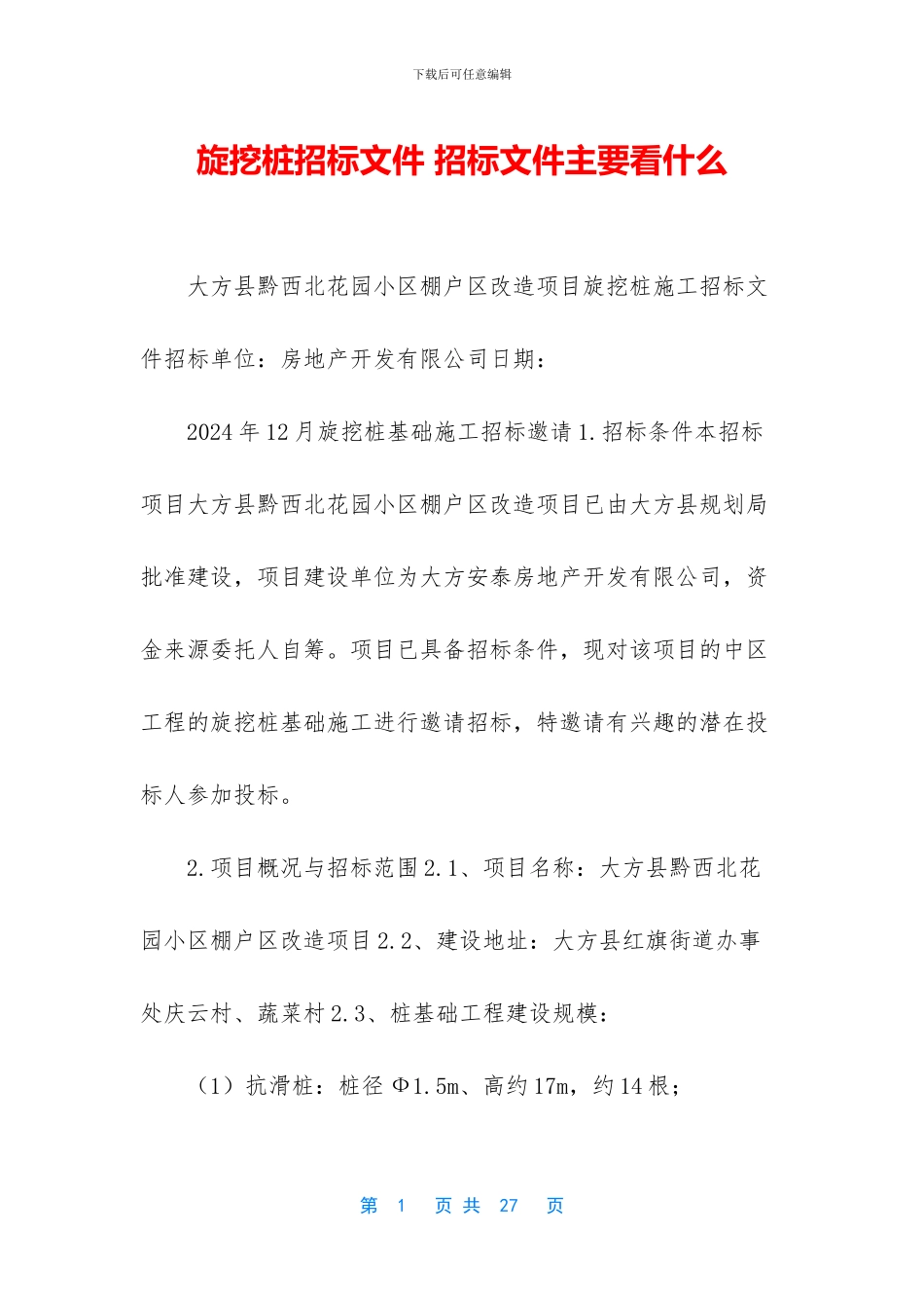 旋挖桩招标文件_第1页