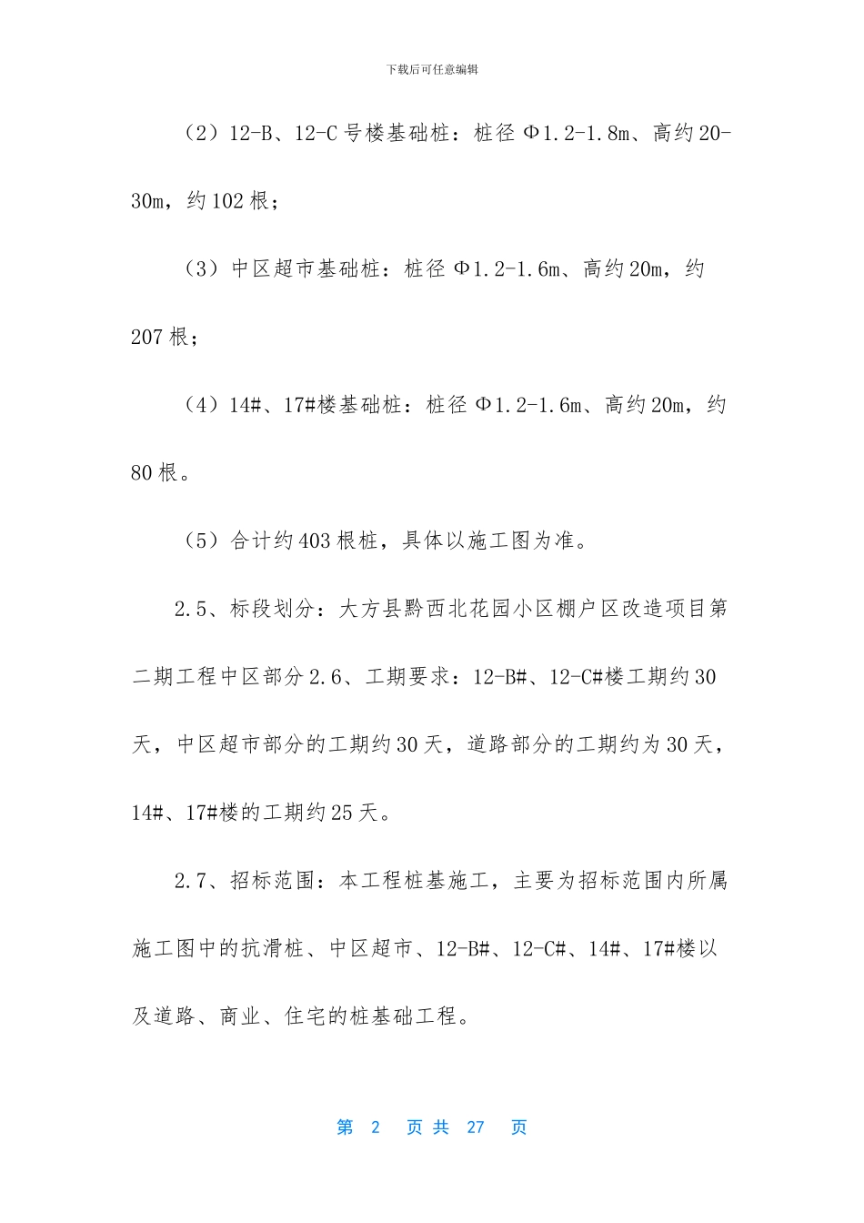 旋挖桩招标文件_第2页