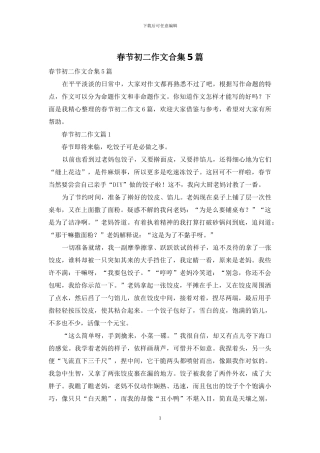 春节初二作文合集5篇