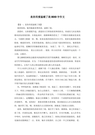 是你用爱温暖了我800字作文