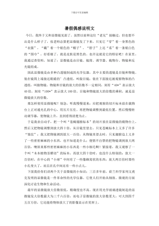 暑假偶感说明文