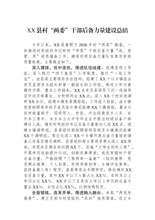 XX县村“两委”干部后备力量建设总结