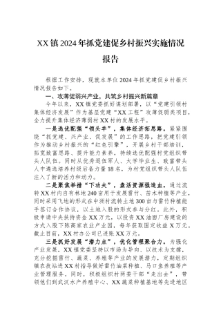 XX镇2024年抓党建促乡村振兴实施情况报告