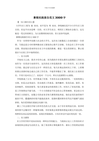 暑期实践报告范文3000字