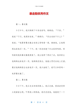 暴走鞋优秀作文