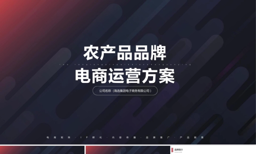 126页！农产品品牌电商运营全案【案例参考】