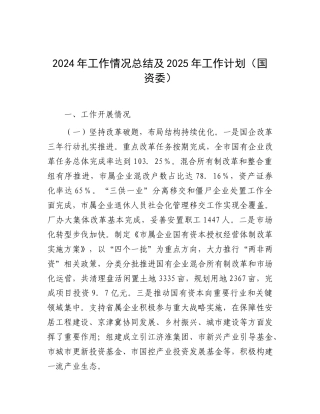 2024年工作情况总结及2025年工作计划（国资委）
