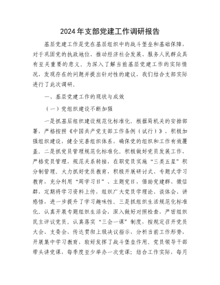 2024年支部党建工作调研报告